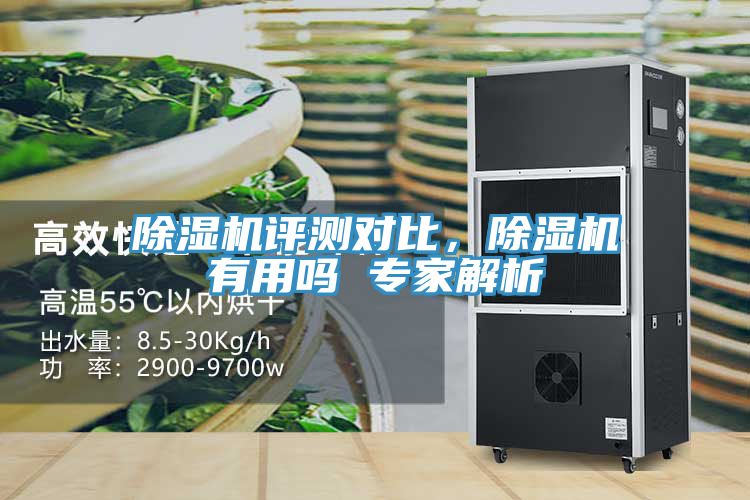 除濕機評測對比，除濕機有用嗎 專家解析