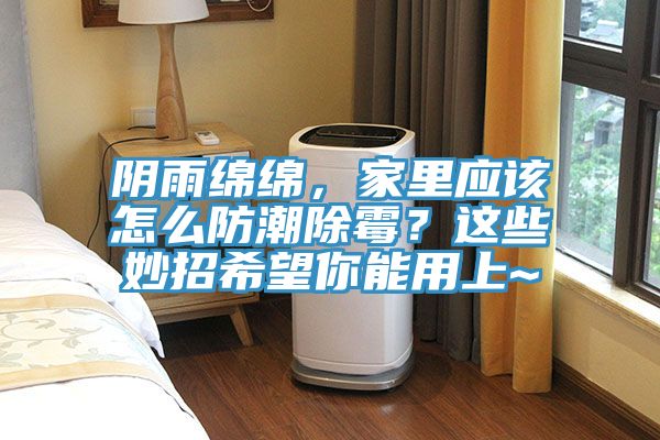 陰雨綿綿，家里應(yīng)該怎么防潮除霉？這些妙招希望你能用上~