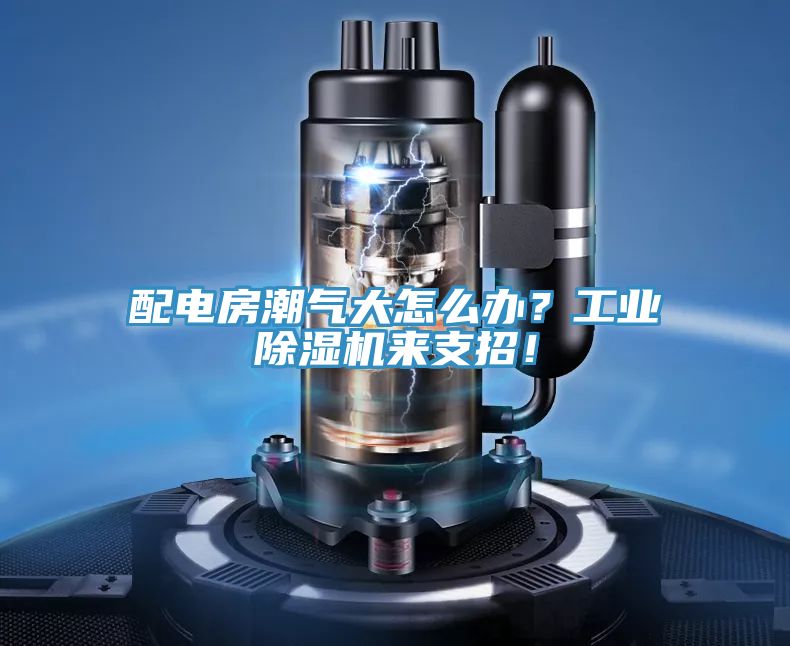 配電房潮氣大怎么辦？工業(yè)除濕機(jī)來支招！