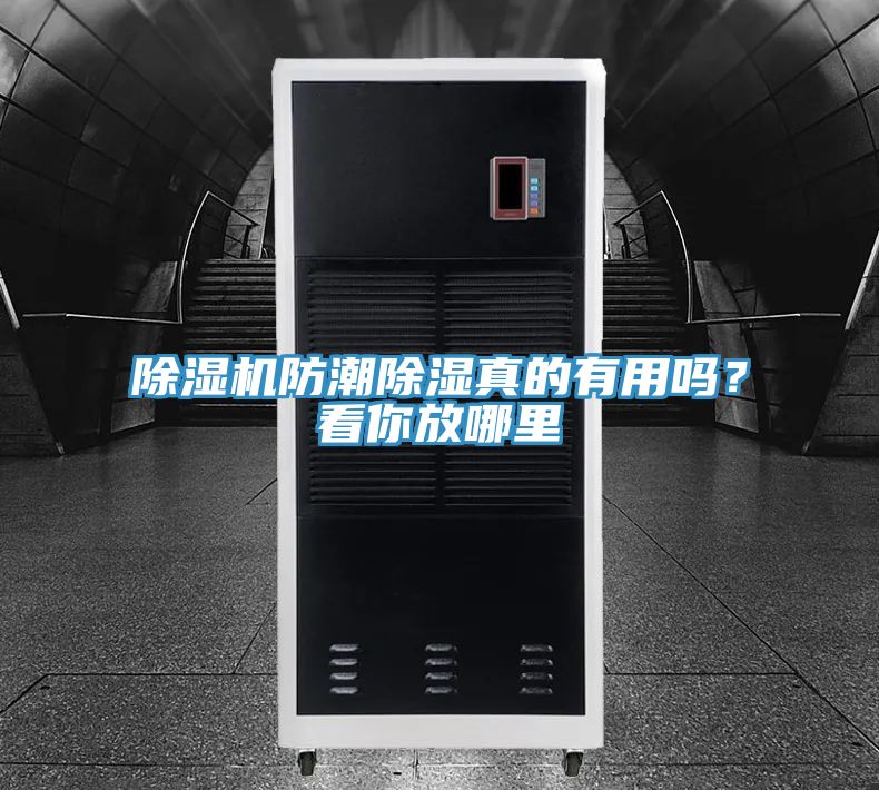 除濕機(jī)防潮除濕真的有用嗎？看你放哪里