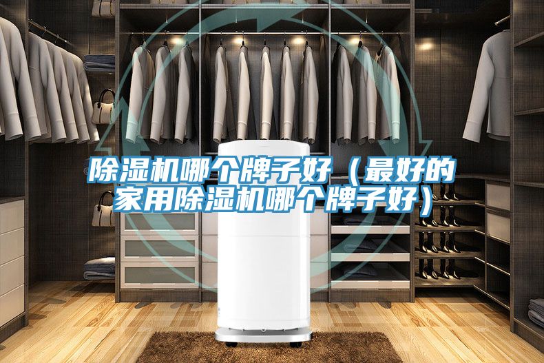 除濕機(jī)哪個牌子好（最好的家用除濕機(jī)哪個牌子好）