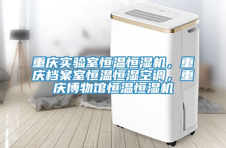 重慶實驗室恒溫恒濕機(jī)，重慶檔案室恒溫恒濕空調(diào)，重慶博物館恒溫恒濕機(jī)