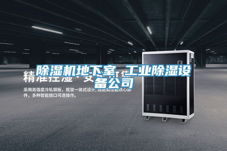 除濕機地下室 工業(yè)除濕設(shè)備公司