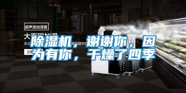 除濕機，謝謝你，因為有你，干燥了四季