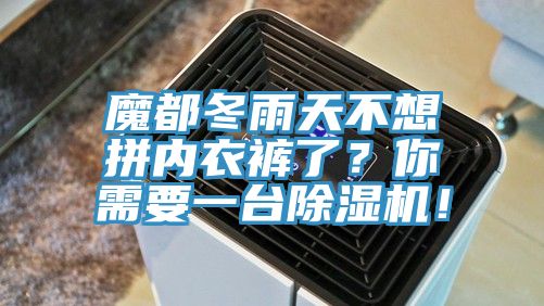 魔都冬雨天不想拼內(nèi)衣褲了？你需要一臺除濕機(jī)！