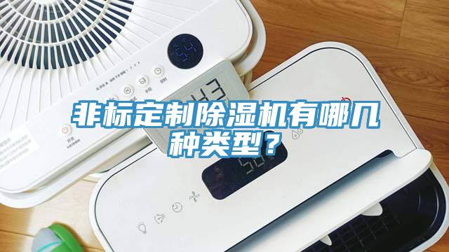 非標(biāo)定制除濕機(jī)有哪幾種類型？