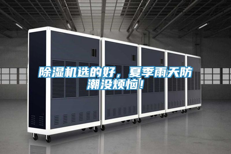 除濕機選的好，夏季雨天防潮沒煩惱！