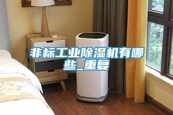非標(biāo)工業(yè)除濕機有哪些_重復(fù)