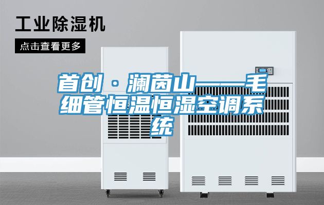 首創(chuàng)·瀾茵山——毛細管恒溫恒濕空調系統(tǒng)
