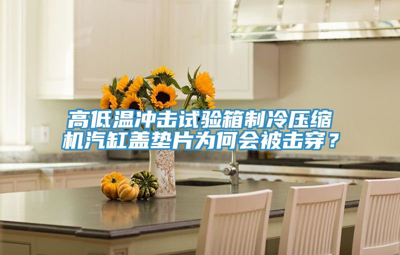 高低溫沖擊試驗箱制冷壓縮機汽缸蓋墊片為何會被擊穿？