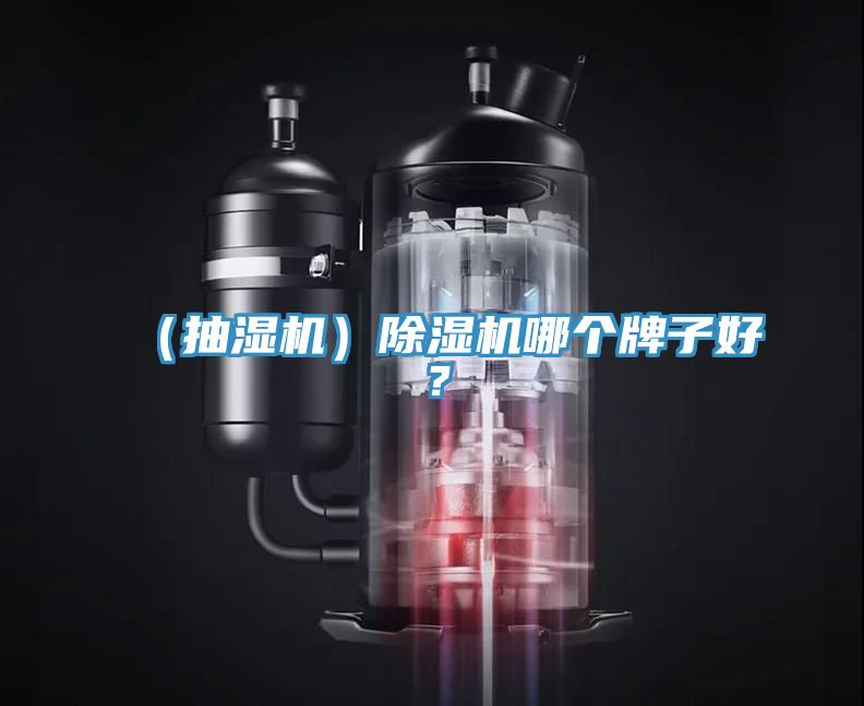 （抽濕機）除濕機哪個牌子好？