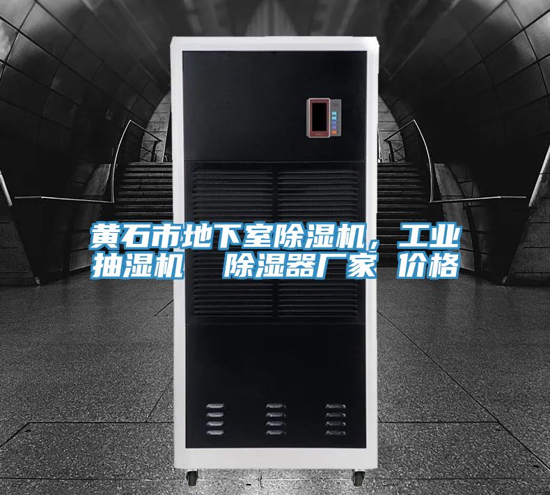 黃石市地下室除濕機，工業(yè)抽濕機  除濕器廠家 價格