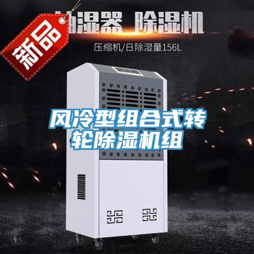 風(fēng)冷型組合式轉(zhuǎn)輪除濕機組