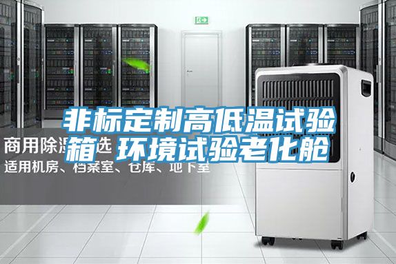 非標(biāo)定制高低溫試驗箱 環(huán)境試驗老化艙