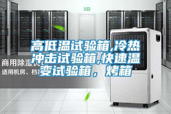 高低溫試驗箱,冷熱沖擊試驗箱,快速溫變試驗箱，烤箱