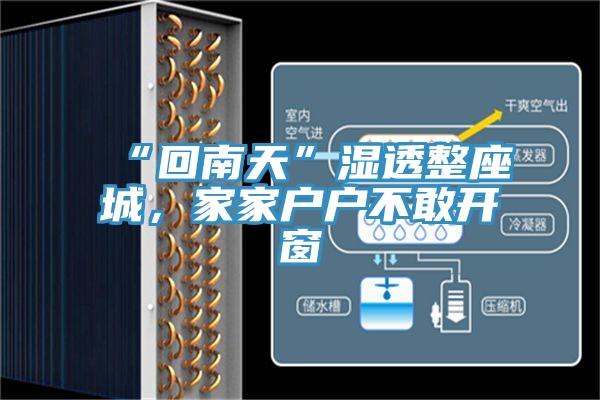 “回南天”濕透整座城，家家戶戶不敢開窗