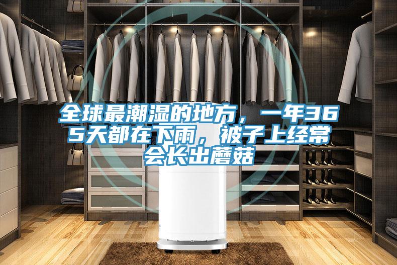 全球最潮濕的地方，一年365天都在下雨，被子上經(jīng)常會(huì)長(zhǎng)出蘑菇