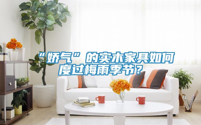 “嬌氣”的實木家具如何度過梅雨季節(jié)？