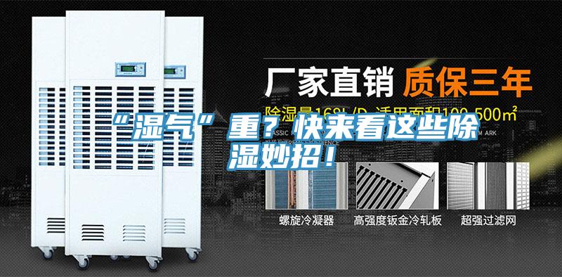 “濕氣”重？快來看這些除濕妙招！