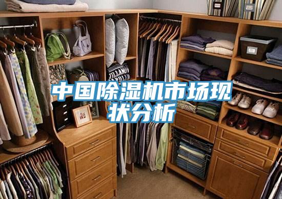 中國除濕機(jī)市場(chǎng)現(xiàn)狀分析