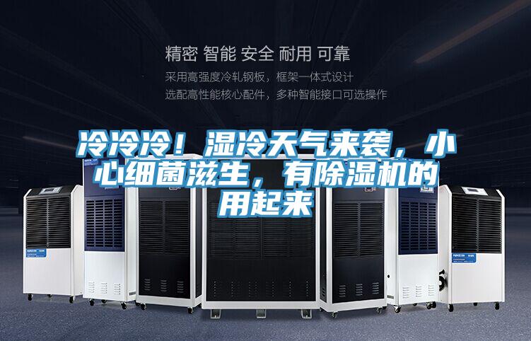 冷冷冷！濕冷天氣來襲，小心細菌滋生，有除濕機的用起來