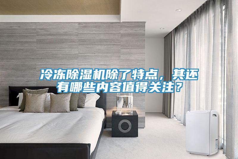 冷凍除濕機(jī)除了特點(diǎn)，其還有哪些內(nèi)容值得關(guān)注？