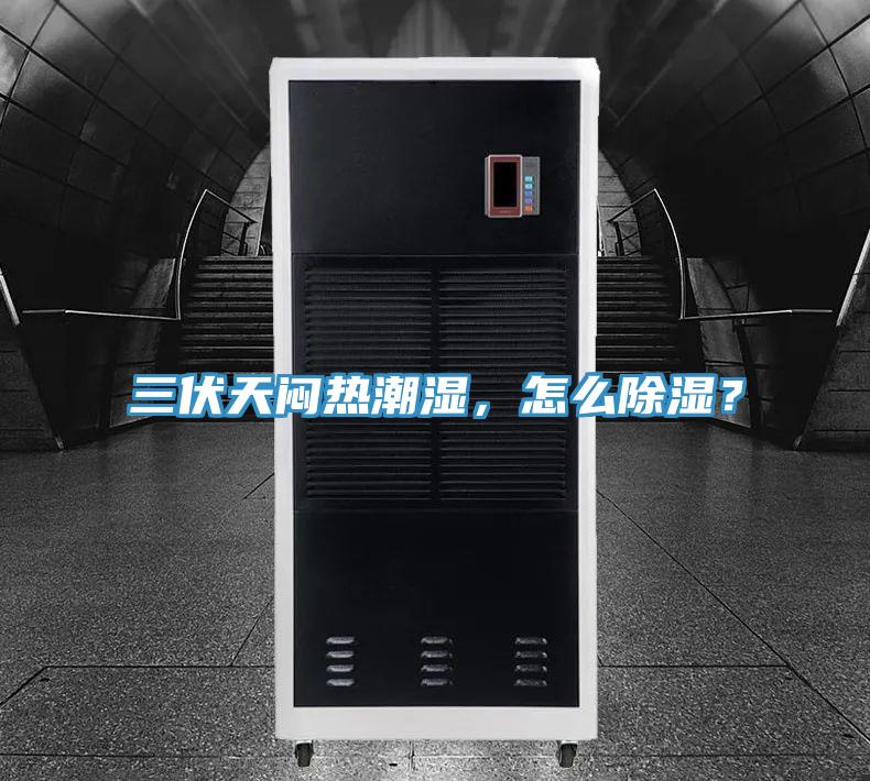 三伏天悶熱潮濕，怎么除濕？