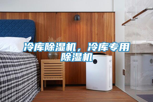 冷庫除濕機(jī)，冷庫專用除濕機(jī)