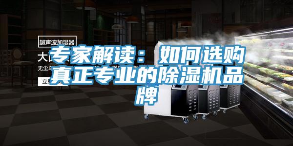 專(zhuān)家解讀：如何選購(gòu)真正專(zhuān)業(yè)的除濕機(jī)品牌