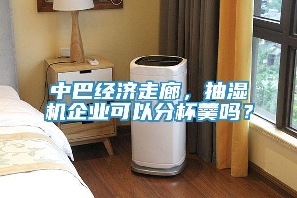 中巴經(jīng)濟(jì)走廊，抽濕機(jī)企業(yè)可以分杯羹嗎？