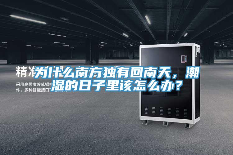 為什么南方獨(dú)有回南天，潮濕的日子里該怎么辦？