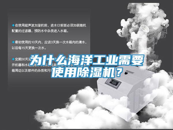 為什么海洋工業(yè)需要使用除濕機(jī)？