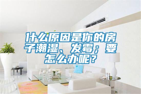 什么原因是你的房子潮濕、發(fā)霉；要怎么辦呢？