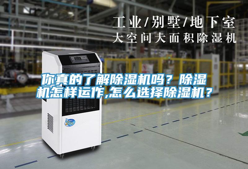 你真的了解除濕機(jī)嗎？除濕機(jī)怎樣運(yùn)作,怎么選擇除濕機(jī)？