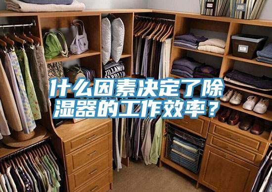 什么因素決定了除濕器的工作效率？