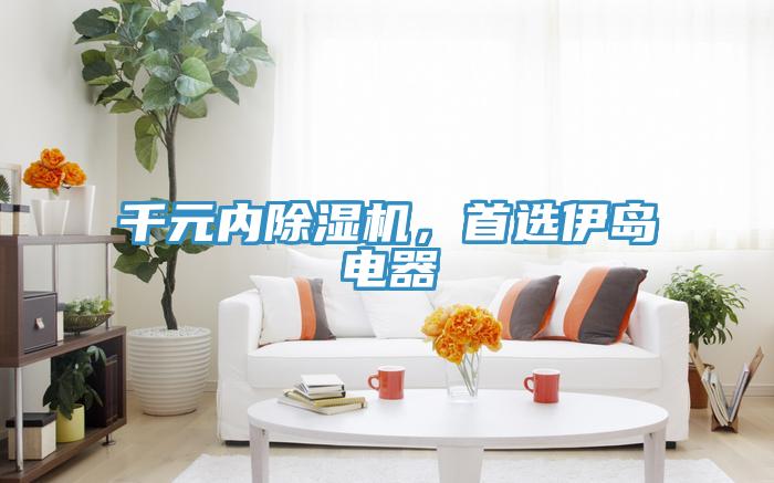 千元內(nèi)除濕機(jī)，首選伊島電器