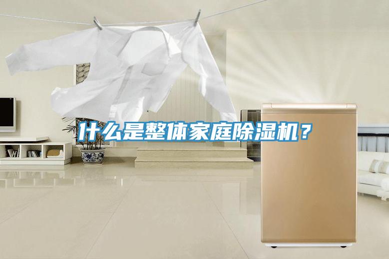 什么是整體家庭除濕機(jī)？