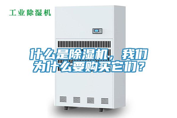 什么是除濕機(jī)，我們?yōu)槭裁匆?gòu)買它們？