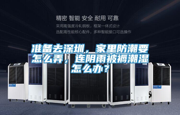 準(zhǔn)備去深圳，家里防潮要怎么弄，連陰雨被褥潮濕怎么辦？