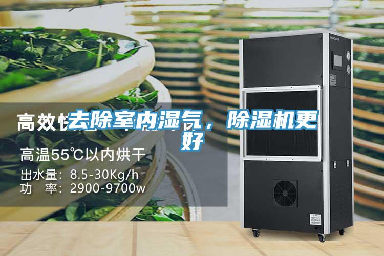 去除室內濕氣，除濕機更好