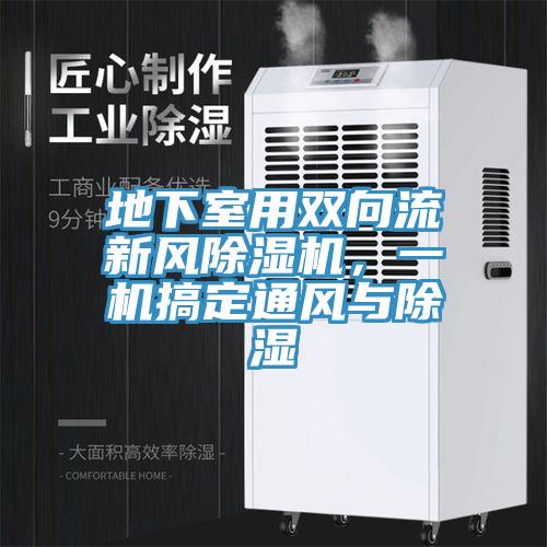 地下室用雙向流新風除濕機，一機搞定通風與除濕