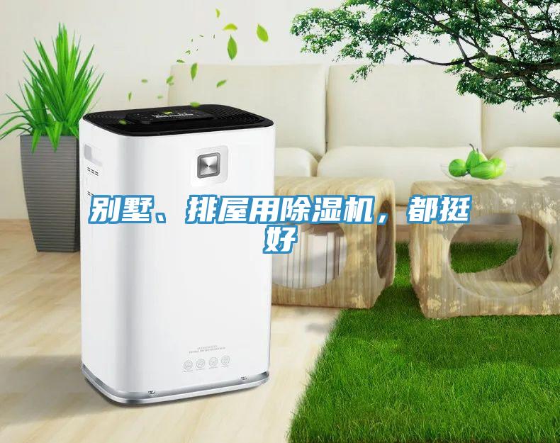 別墅、排屋用除濕機(jī)，都挺好