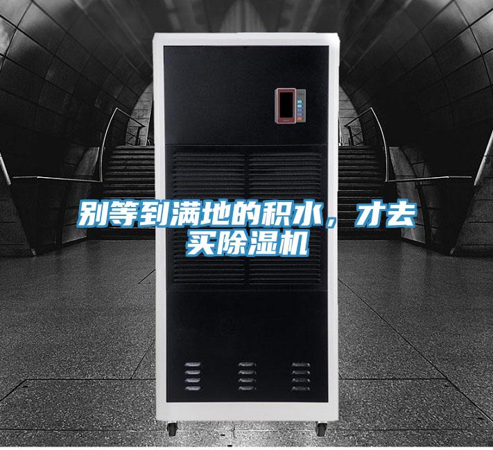 別等到滿地的積水，才去買除濕機