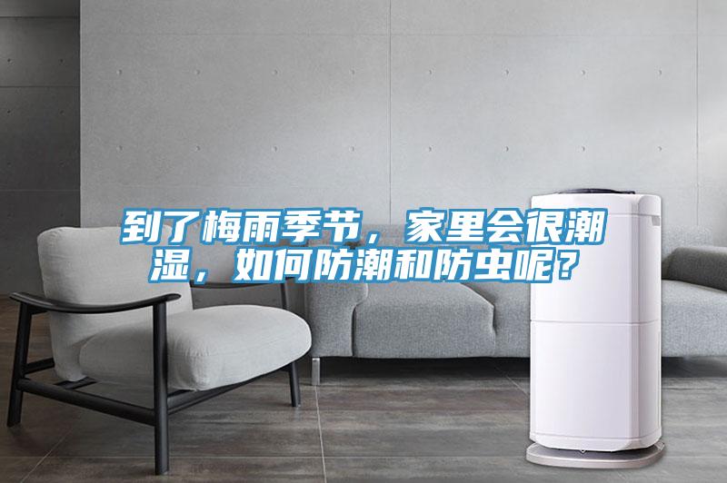 到了梅雨季節(jié)，家里會(huì)很潮濕，如何防潮和防蟲呢？