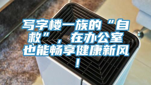 寫字樓一族的“自救”，在辦公室也能暢享健康新風！