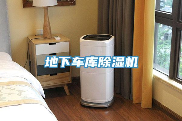 地下車庫除濕機(jī)