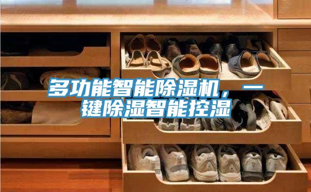 多功能智能除濕機(jī)，一鍵除濕智能控濕