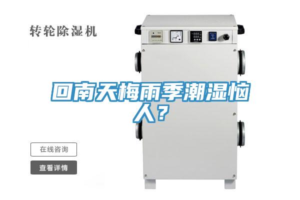 回南天梅雨季潮濕惱人？