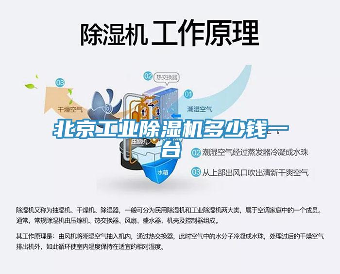 北京工業(yè)除濕機(jī)多少錢一臺(tái)